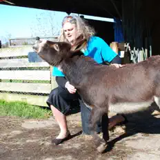 Listen to Craig Smith, watch music videos, read bio, see tour dates & more!