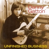 Danny Gatton - Nitpickin'