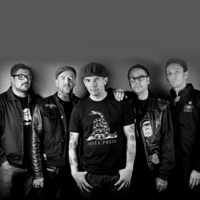 Street Dogs