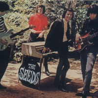 The Seeds