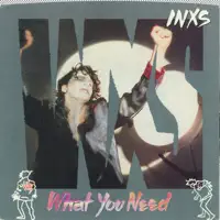 What You Need — Inxs