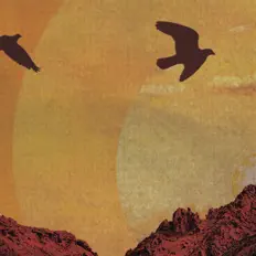 收听 Time Square、观看音乐视频、阅读小传、查看巡演日期等 ！