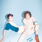 Compact Disk Dummies