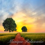 Musique Relaxante