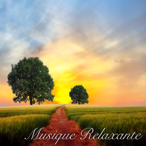 Musique Relaxante's avatar