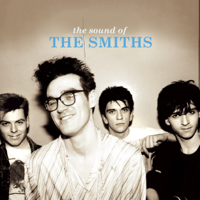 The Smiths - How Soon Is Now? artwork