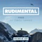 Free (Nas Remix) - Rudimental lyrics