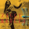 Ziggy Marley