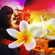 收听 Masaje Tantrico Musica Colección、观看音乐视频、阅读小传、查看巡演日期等 ！