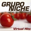 Grupo Niche