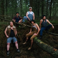Steve ‘n’ Seagulls
