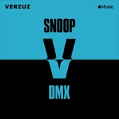 Verzuz: DMX x Snoop Dogg (Live) artwork