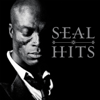 Seal - Kiss from a Rose artwork