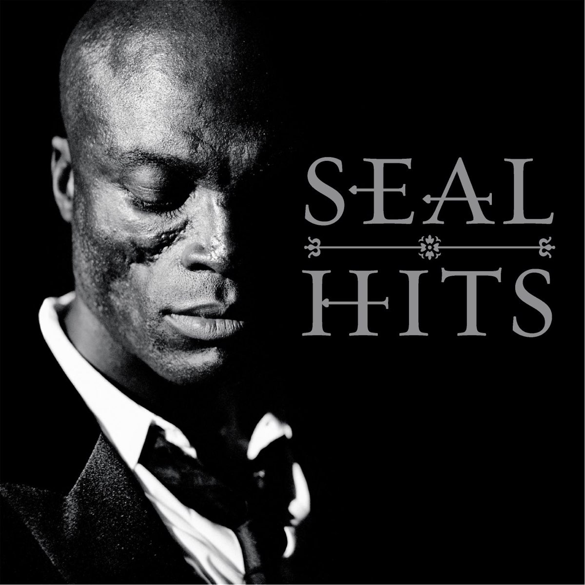 ‎Seal: Hits (Deluxe Version) - Album by Seal - Apple Music