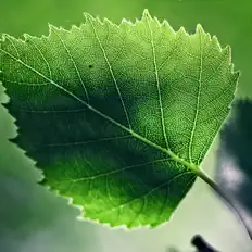 Listen to Relaxation Meditation Yoga Music Masters, watch music videos, read bio, see tour dates & more!