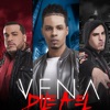 Vena