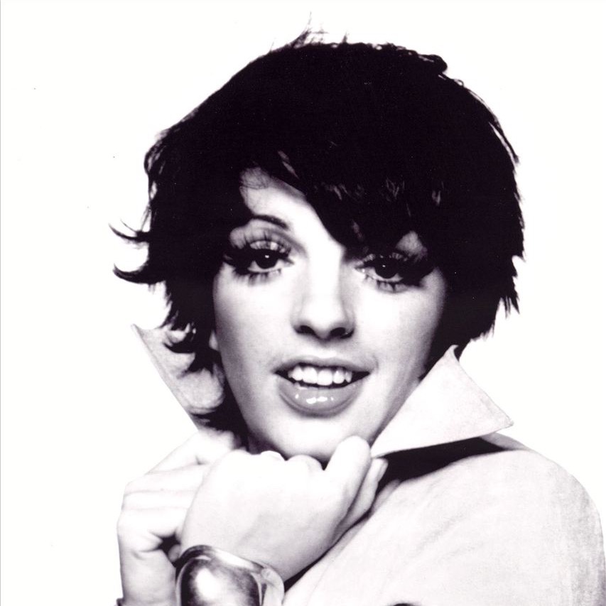Фото Liza Minnelli