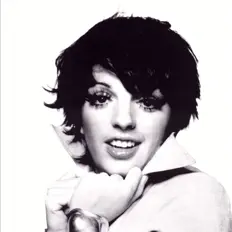 Listen to Liza Minnelli, watch music videos, read bio, see tour dates & more!