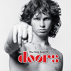 The Doors - The Very Best of The Doors artwork