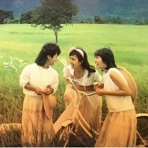 สาว สาว สาว