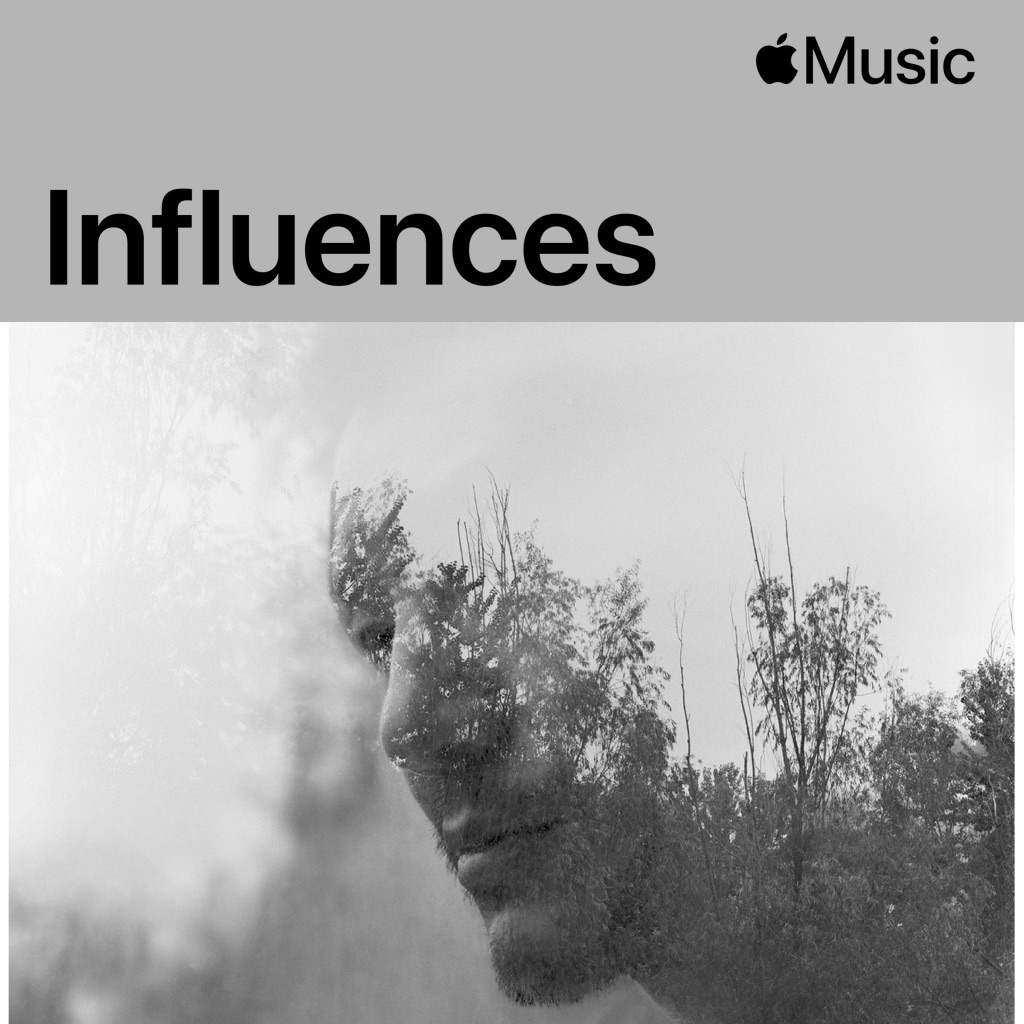 Pu Shu: Influences