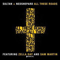 All These Roads (feat. Zella Day & Sam Martin) - Single