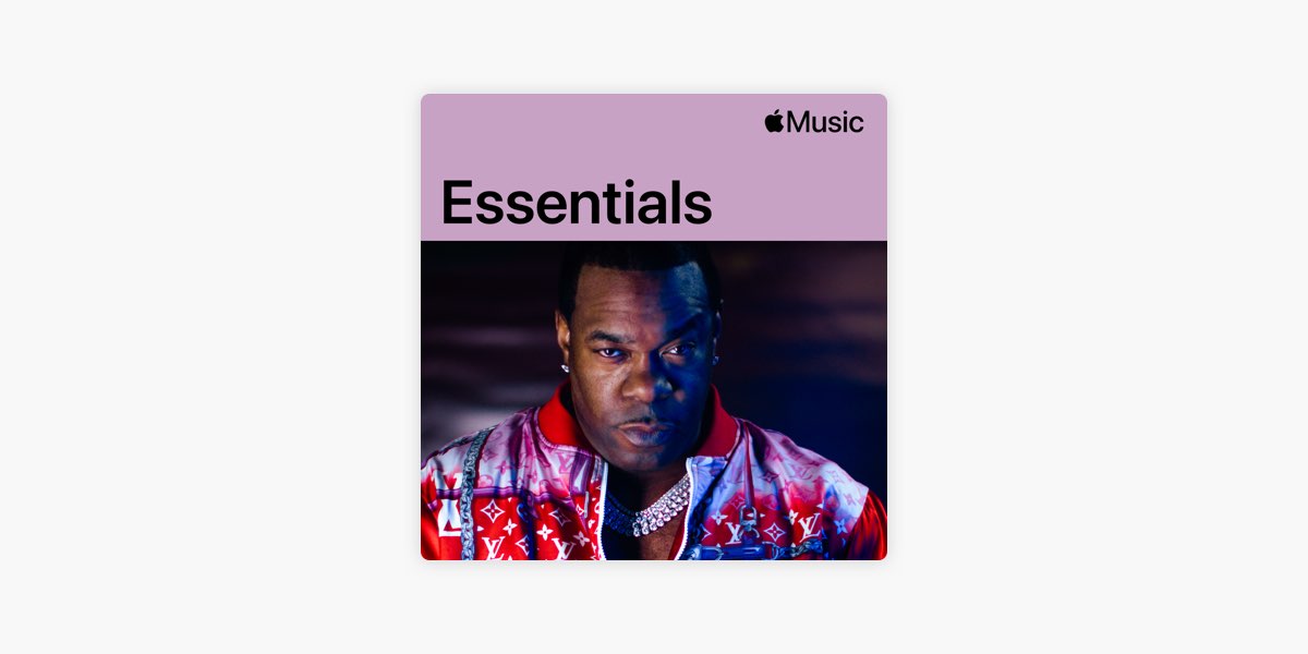 バンドライン] Busta Rhymes バスタ ライムス HipHop ヒップ