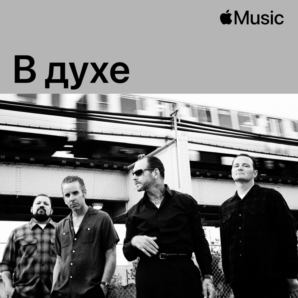 В духе Social Distortion