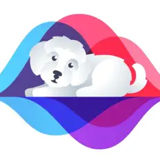 Dengarkan Soothing Dog Sounds, tonton video musik, baca bio, lihat tanggal tur & lainnya!