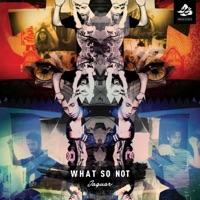 Jaguar - Single - What So Not