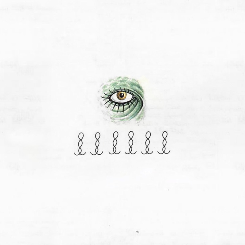 Niv-thumbnail