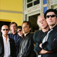 Radio Birdman