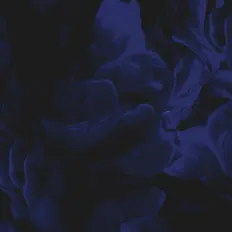 聆聽 Atlas Bound、觀看音樂影片、閱讀小傳、查看巡演日期等！