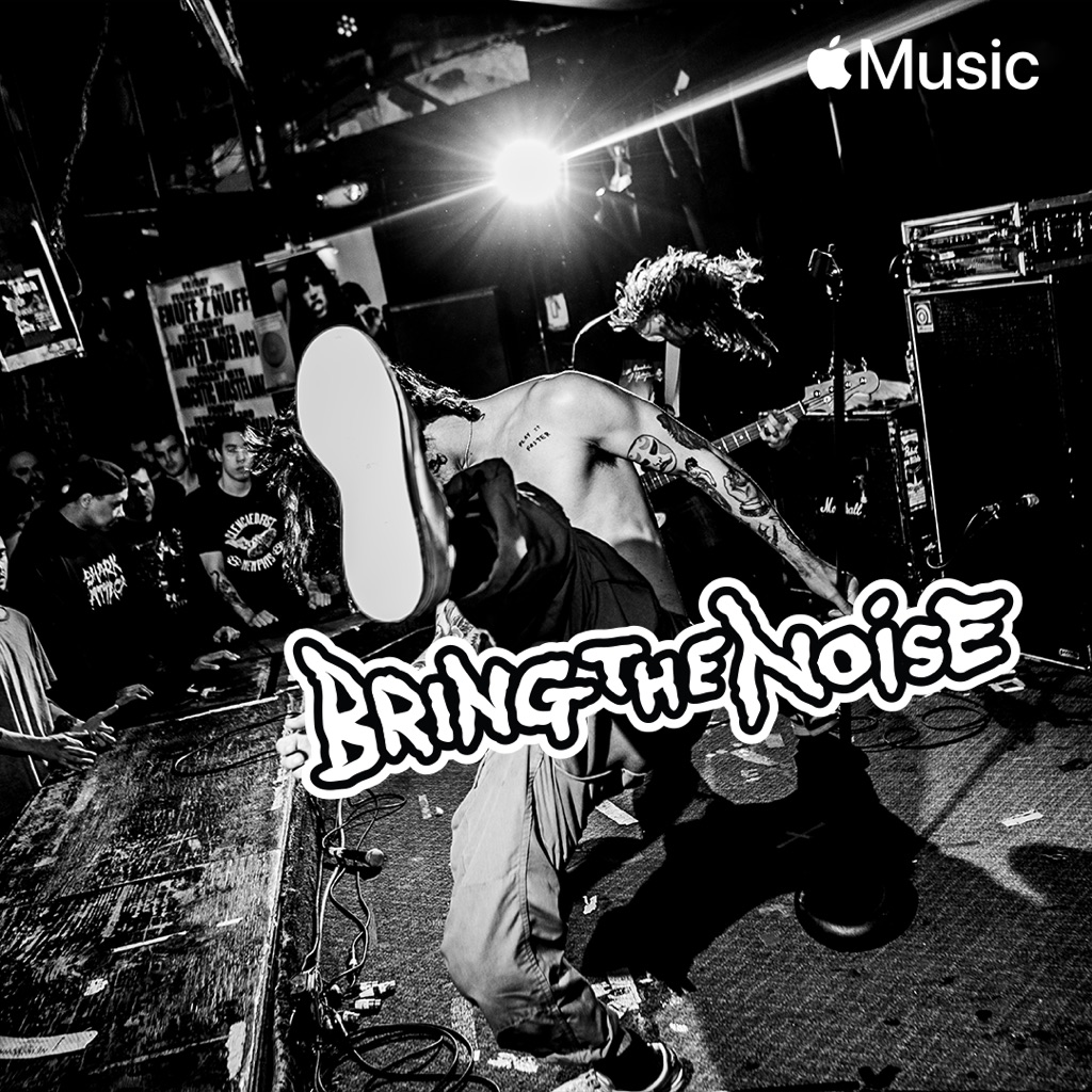 Bring the Noise