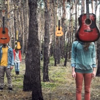 Guitar Tribute Players