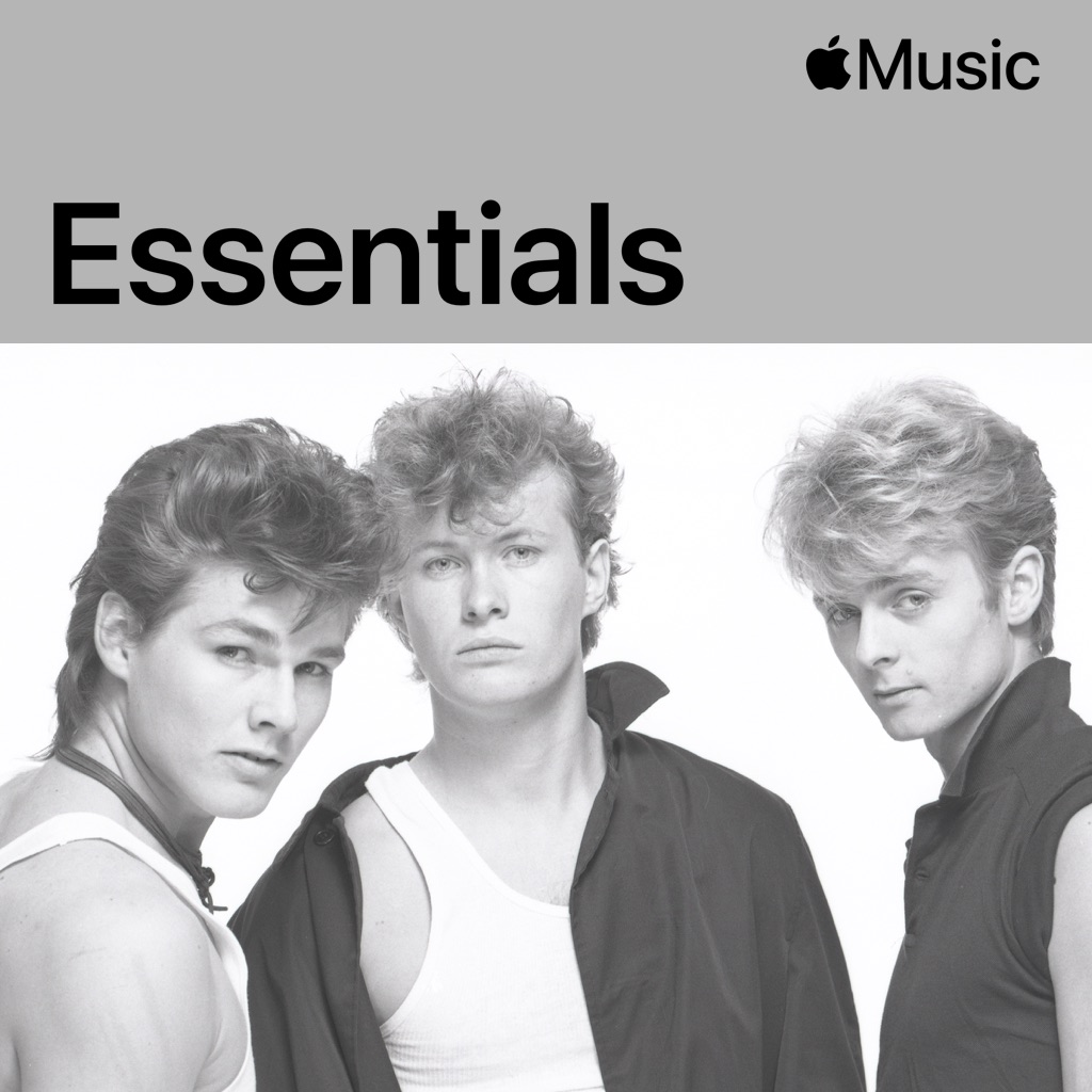 a-ha Essentials