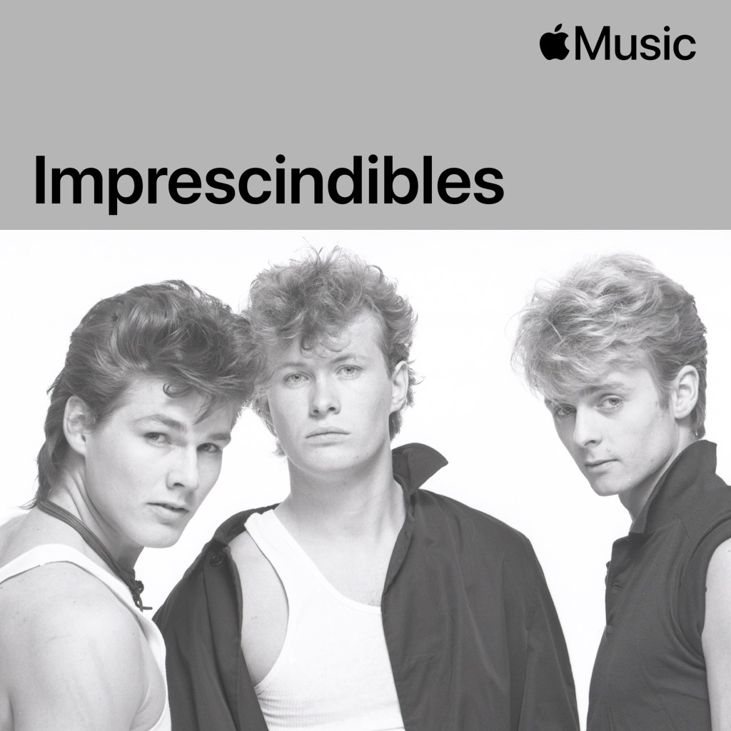 a-ha: imprescindibles