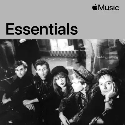 Listen to Divinyls Essentials featuring Divinyls
