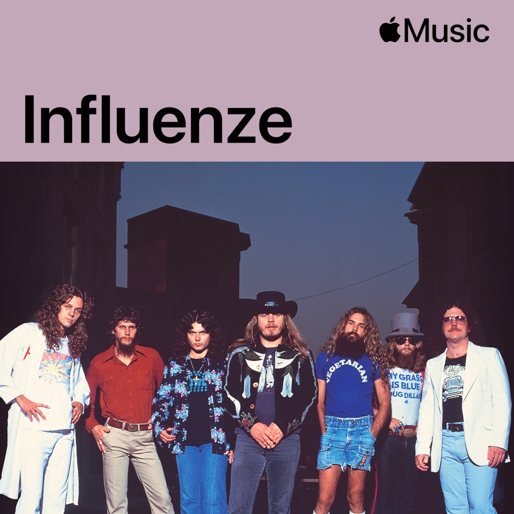 Lynyrd Skynyrd: influenze