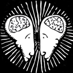 Dos Brains