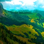 Nature Sounds Radio