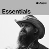 Cover art for Chris Stapleton Essentials