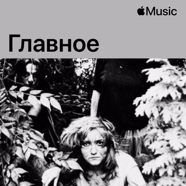 The Slits: главное