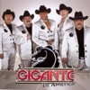El Gigante De America - Amor Sin Amor