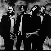 The Seahorses