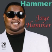 Jaye Hammer - Party Mood