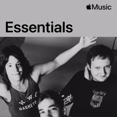 Listen to Hüsker Dü Essentials featuring Hüsker Dü