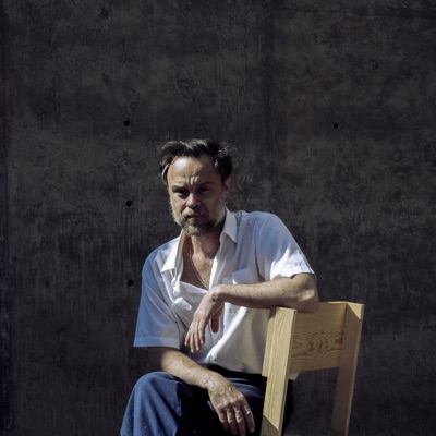 Rodrigo Amarante