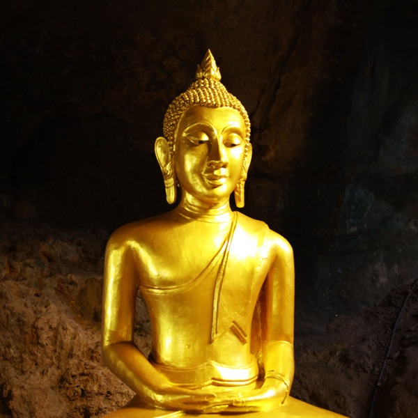Buddhist méditation académie's avatar