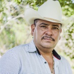 El Tigrillo Palma